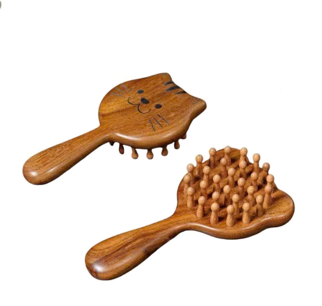 Combo lược chải tóc lược massage gỗ Việt Mộc